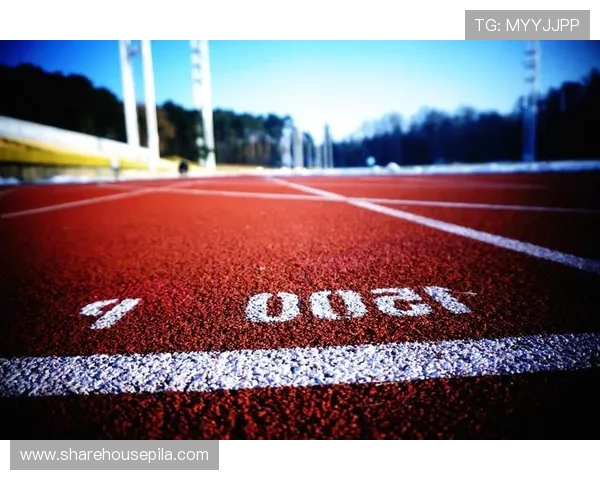 凯发体育手机：打造便捷高效的体育娱乐体验平台