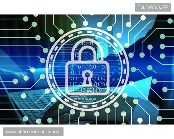 乐鱼体育网站入口安全保障措施加强，确保用户信息安全与隐私保护